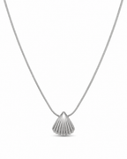 Seashell Kette