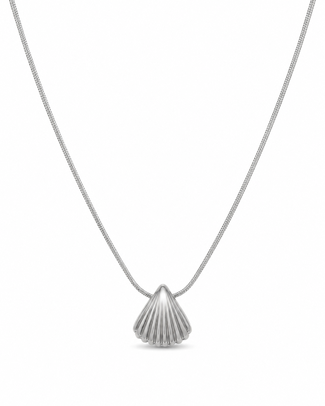 Seashell Kette